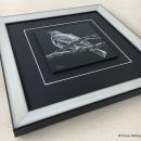framing