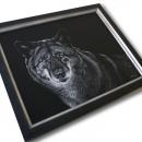 framing