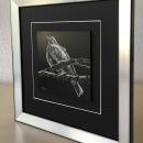 framing