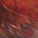 Montezuma Oropendola