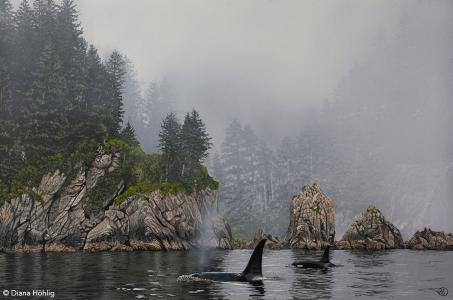 Orca Cove