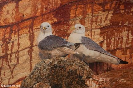 Red Rock Refuge